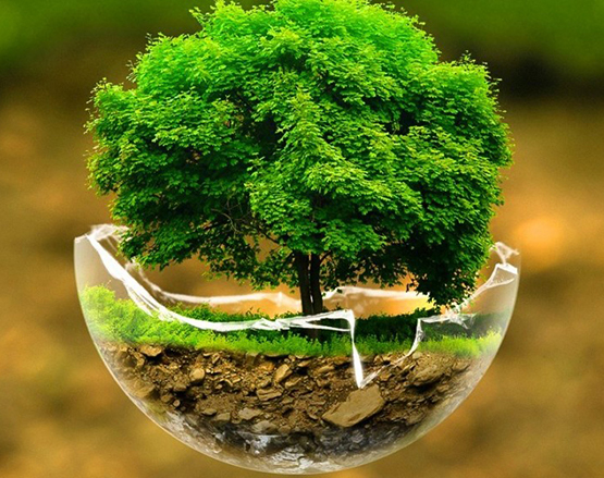 ISO 14001 | Environmental